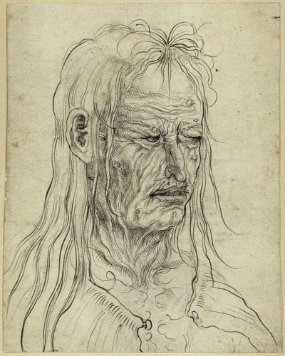 Hovedet af en grim gammel kvinde, set mod højre af Albrecht Altdorfer
