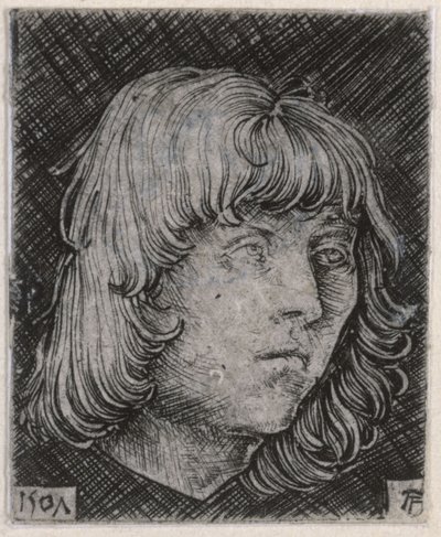 Hoved af en ung mand af Albrecht Altdorfer