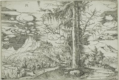 Landskab med en dobbelt gran af Albrecht Altdorfer