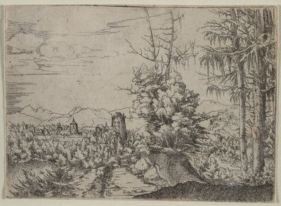 Landskab med to fyrretræer af Albrecht Altdorfer
