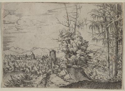 Landskab med to fyrretræer, 1522-1525. af Albrecht Altdorfer