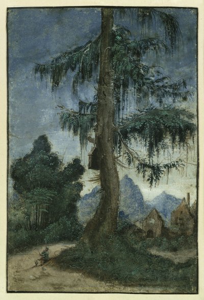 Landskab med gran af Albrecht Altdorfer