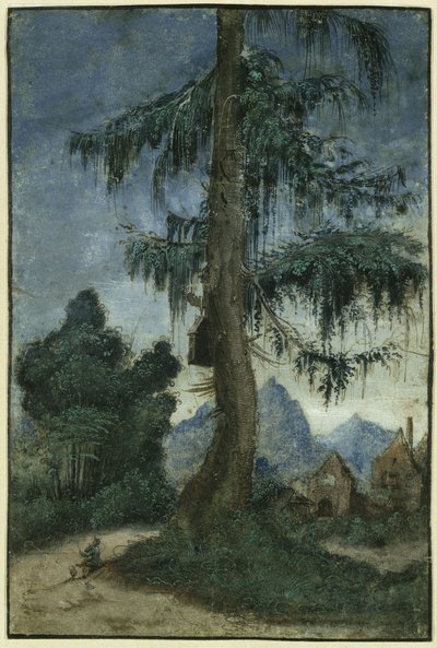 Landskab med gran af Albrecht Altdorfer