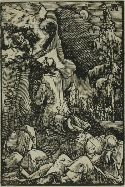 Kvalen i haven, fra Menneskets fald og forløsning af Albrecht Altdorfer
