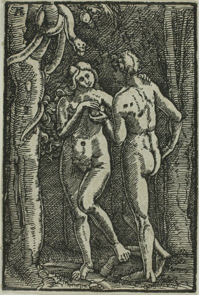 Menneskets Fald, fra Menneskets Fald og Forløsning af Albrecht Altdorfer