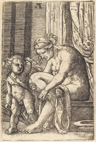 Venus efter badet af Albrecht Altdorfer