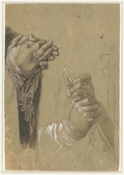 Hænder og et profilhoved af Albrecht Dürer (possibly)