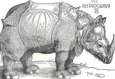 Et næsehorn, 1515, 1906 af Albrecht Dürer