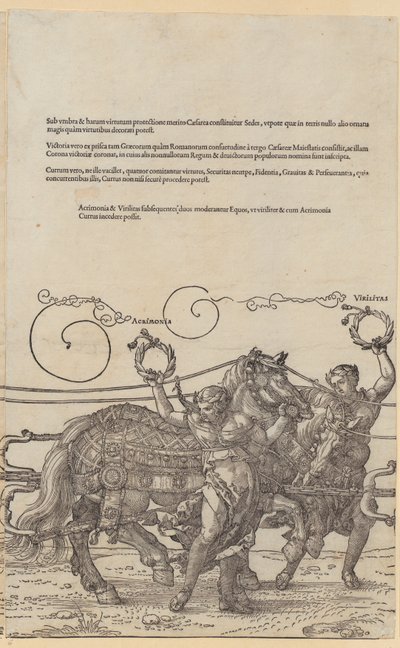  af Albrecht Dürer