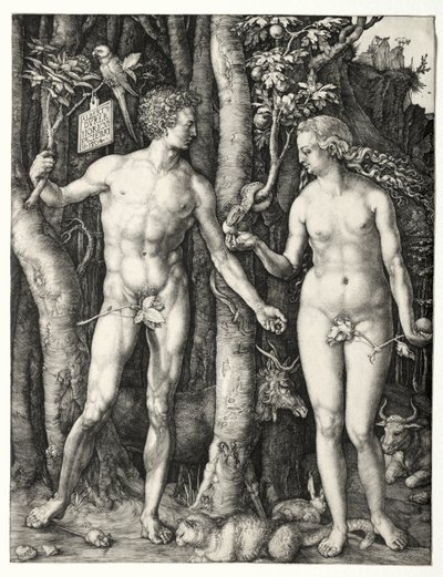 Adam og Eva af Albrecht Dürer