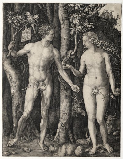 Adam og Eva af Albrecht Dürer