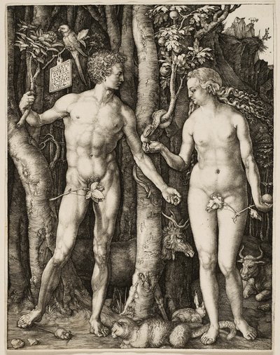 Adam og Eva af Albrecht Dürer