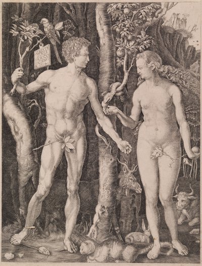 Adam og Eva af Albrecht Dürer