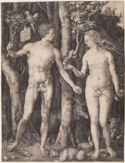  af Albrecht Dürer