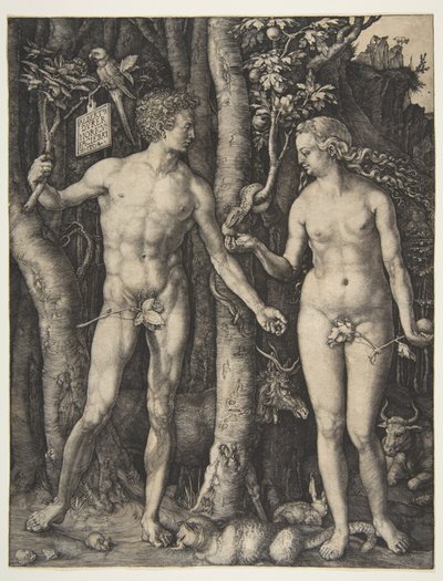  af Albrecht Dürer