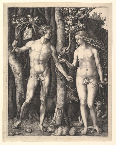  af Albrecht Dürer