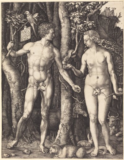  af Albrecht Dürer