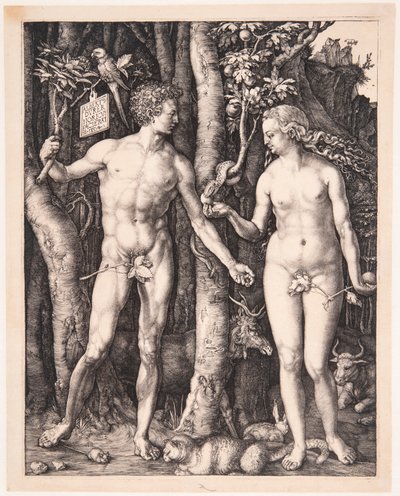 af Albrecht Dürer