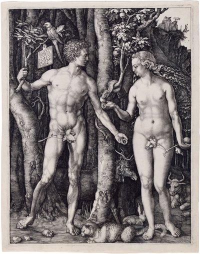  af Albrecht Dürer