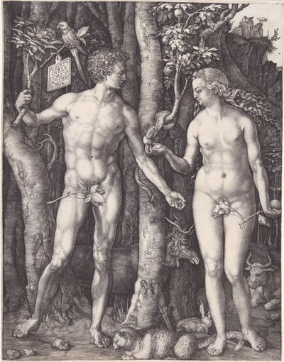  af Albrecht Dürer
