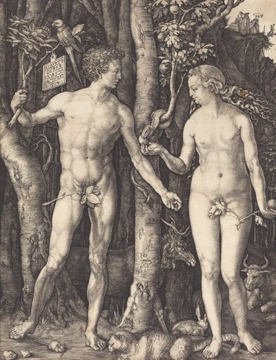 Adam og Eva, 1504. af Albrecht Dürer