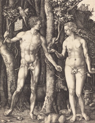 Adam og Eva, 1504. af Albrecht Dürer