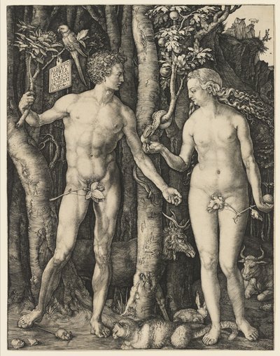 Adam og Eva, 1504 af Albrecht Dürer