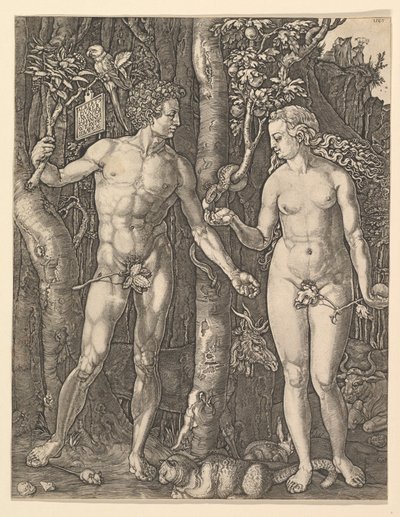 Adam and Eve, 1566. dani af Albrecht Dürer