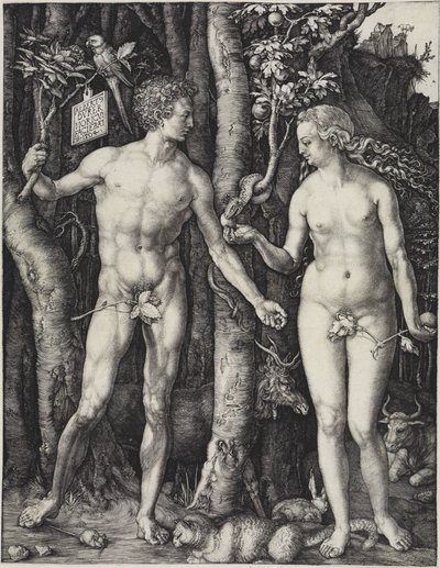  af Albrecht Dürer