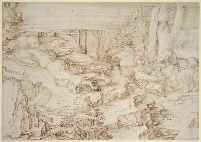  af Albrecht Dürer