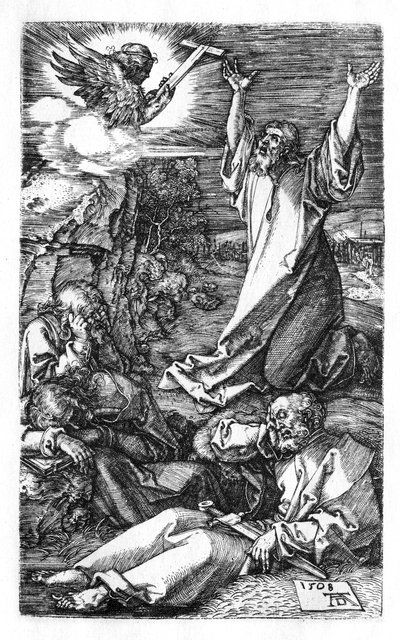 Pine i haven af Albrecht Dürer