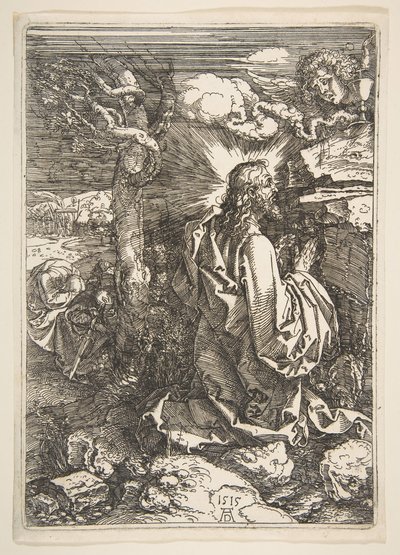 Kval i haven, 1515. af Albrecht Dürer