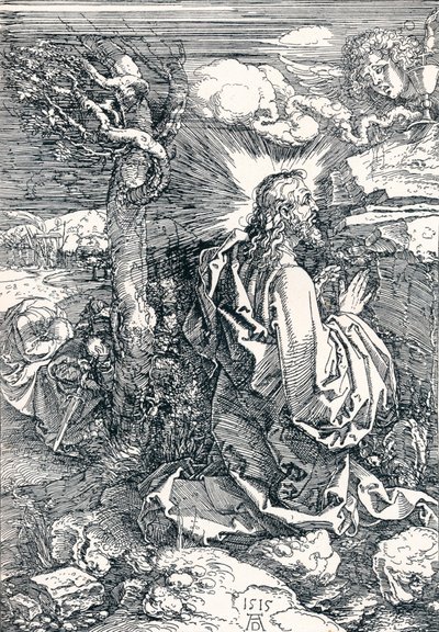 Kval i haven, 1515 1906 af Albrecht Dürer