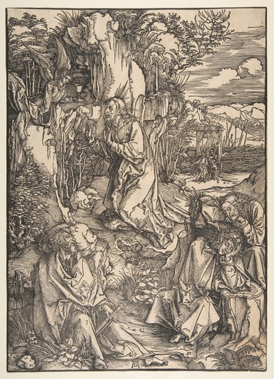 Kval i haven.n.d. af Albrecht Dürer