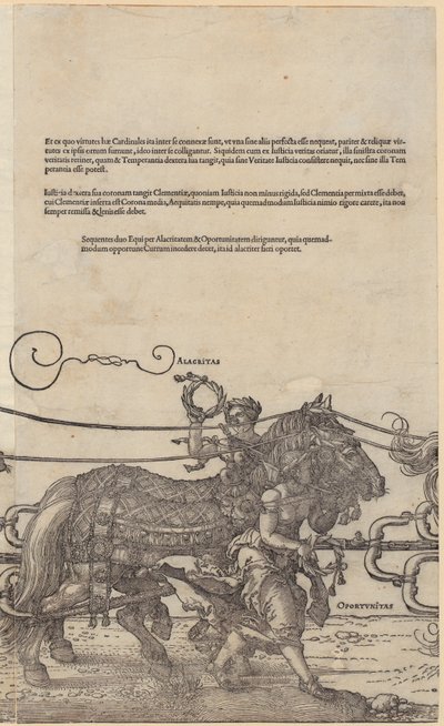  af Albrecht Dürer
