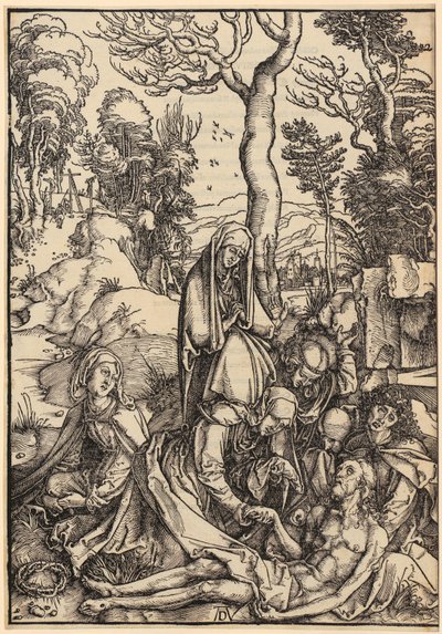  af Albrecht Dürer
