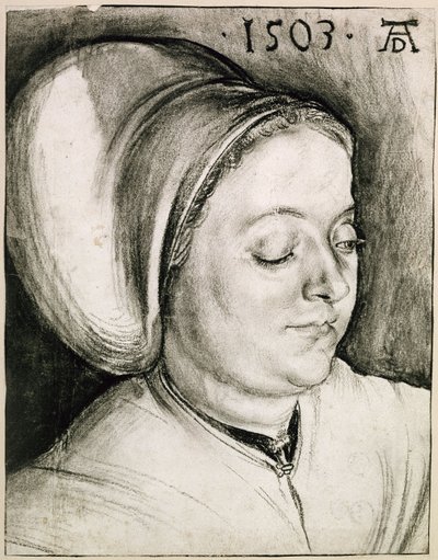  af Albrecht Dürer
