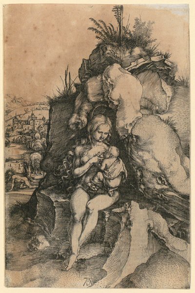  af Albrecht Dürer