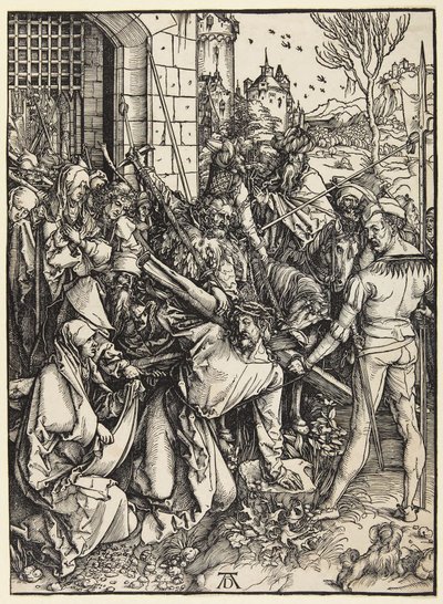  af Albrecht Dürer