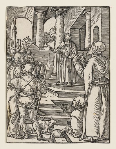  af Albrecht Dürer