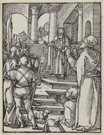  af Albrecht Dürer