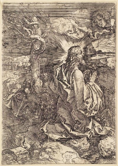  af Albrecht Dürer