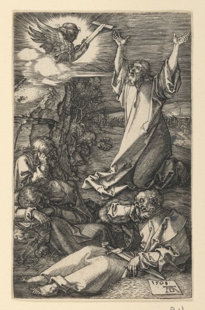  af Albrecht Dürer