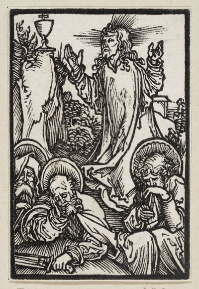  af Albrecht Dürer