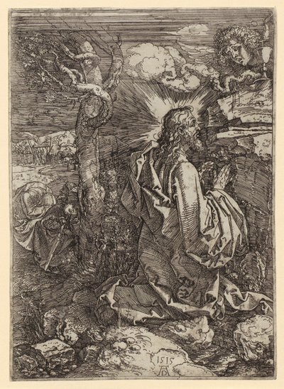  af Albrecht Dürer