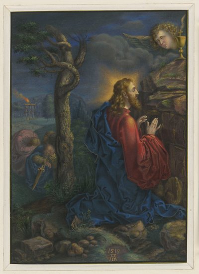  af Albrecht Dürer