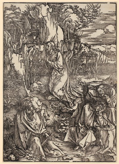  af Albrecht Dürer