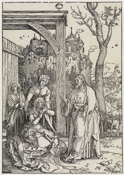  af Albrecht Dürer