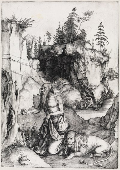  af Albrecht Dürer