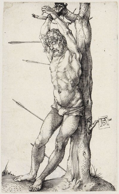  af Albrecht Dürer